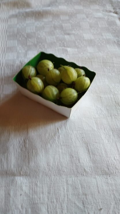barquette de de framboises 125g