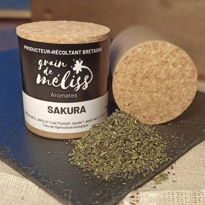 Aromates pour la cuisine - SAKURA (pot)