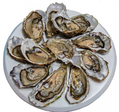 Bourriche 12 Huitres n°4
