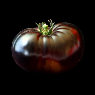 semence graine bretagne tomate black beauty