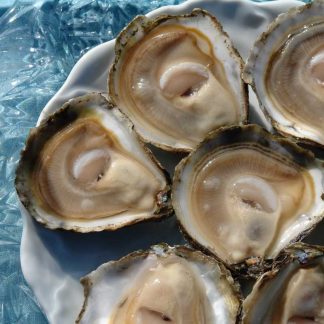 Bourriche 12 Huitres plates n°0