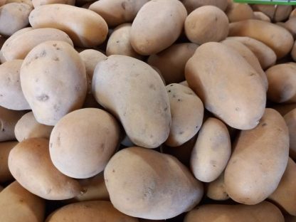 POMME DE TERRE BIO ALLIANS 1.500 kg