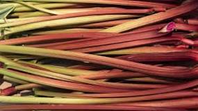RHUBARBE 800G