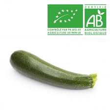 COURGETTE VERTE LONGUE