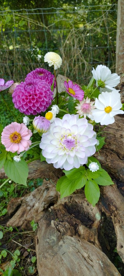 Bouquet Le fermier