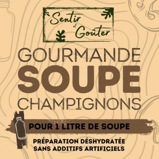 Soupe de champignons