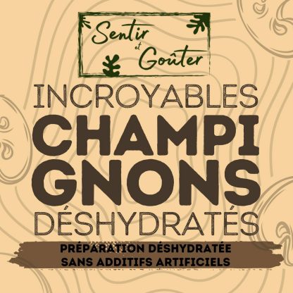 Moulu de champignons.