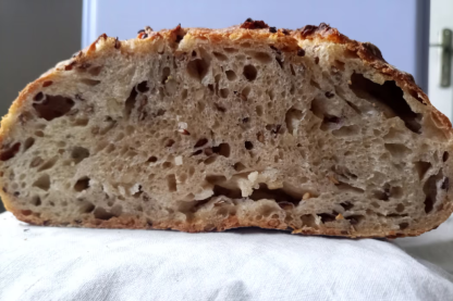 Pain aux graines
