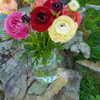 Bouquet de Renoncules